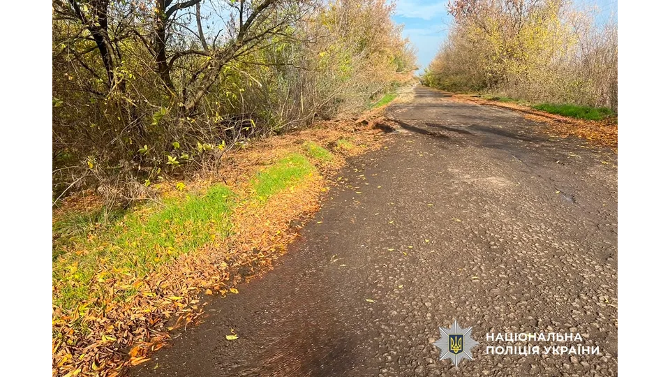 У Баштанському районі перекинувся кросовер. Фото: Нацполіція